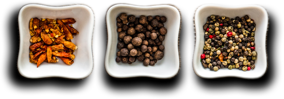 Cafe Holos - Restaurant& Cafe